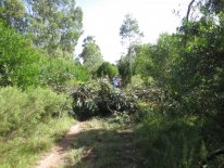 IMG_0137.JPG