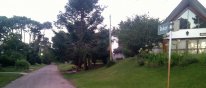 IMG_20140323_185659.jpg