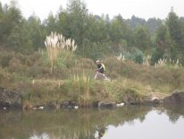 IMG_2984.JPG