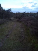 DSC_0209.jpg DSC_0209.jpg