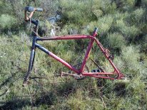 DSC_0243.jpg