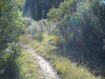 DSC_0249.jpg