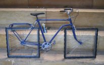 bici2.jpg