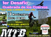 AFICHE CARRERA.jpg