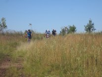 IMG_0745.JPG