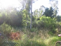 IMG_0788.JPG