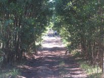 IMG_0813.JPG