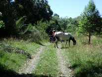 IMG_0235.JPG
