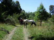 IMG_0236.JPG