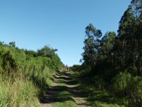 IMG_0438.JPG