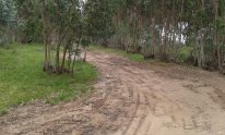 20150111_112515.jpg