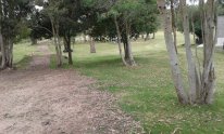 20150111_113122.jpg