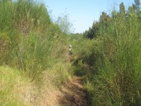 IMG_3018.JPG
