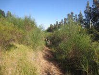 IMG_3021.JPG