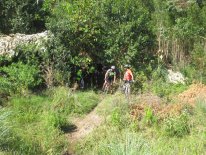 IMG_3056.JPG
