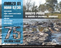 007_PANDO.jpg 007_PANDO.jpg