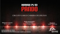 025A_pando.jpg 025A_pando.jpg
