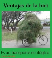 transporte-ecologico.jpg