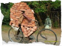 merenguemilengue_india_fotos_curiosas_divertidas_ladrillos_bicicleta_transporte.jpg