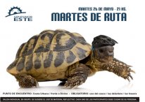 001_Gráficos.JPG