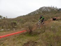 P1310444-2.jpg