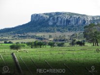 6555 (Copiar).jpg