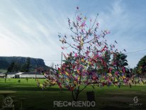 6564 (Copiar).jpg