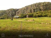 6597 (Copiar).jpg