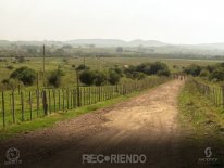 6598 (Copiar).jpg