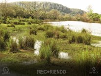 6630 (Copiar).jpg