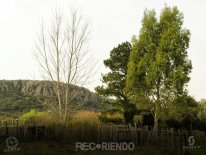 6638 (Copiar).jpg