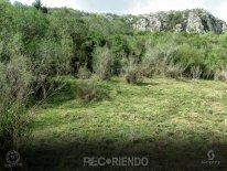 6659 (Copiar).jpg