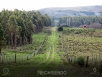 6763 (Copiar).jpg