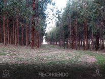 6784 (Copiar).jpg