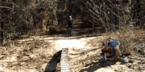 G78AQsn.gif