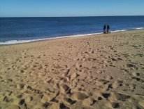 IMG_20130818_150353.jpg