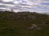 th_64521_1_IMG_20120602_00565_122_256lo.jpg