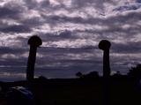 th_64522_2_IMG_20120602_00568_122_62lo.jpg