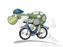 th_847460914_Tortugaenbici_122_4lo.jpg