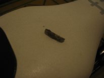 IMG_1866.jpg