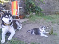 Fotografa0827.jpg Fotografa0827.jpg