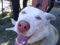 Fotografa0465.jpg Fotografa0465.jpg