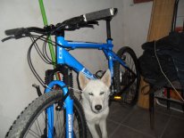 SAM_3427.jpg SAM_3427.jpg