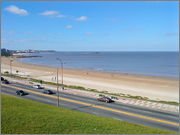 DSC05445.jpg