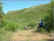 DSCF5679.jpg DSCF5679.jpg
