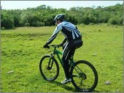 DSCF5698.jpg DSCF5698.jpg