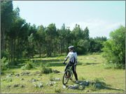 DSCF5705.jpg DSCF5705.jpg