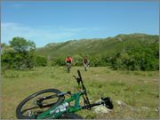 DSCF5717.jpg DSCF5717.jpg