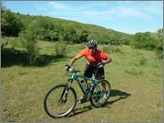 DSCF5724.jpg DSCF5724.jpg