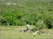DSCF5752.jpg DSCF5752.jpg